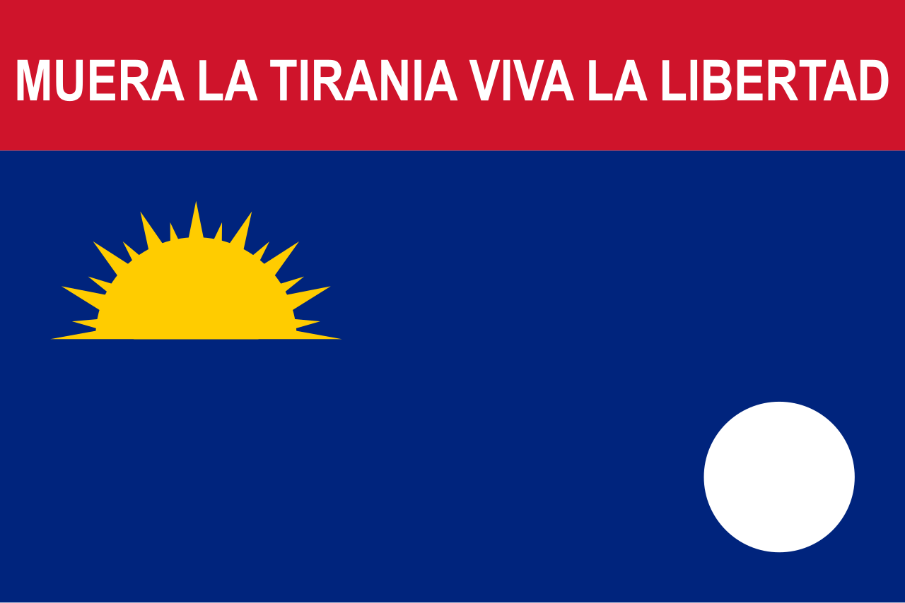 Bandera Oficial de Falcón