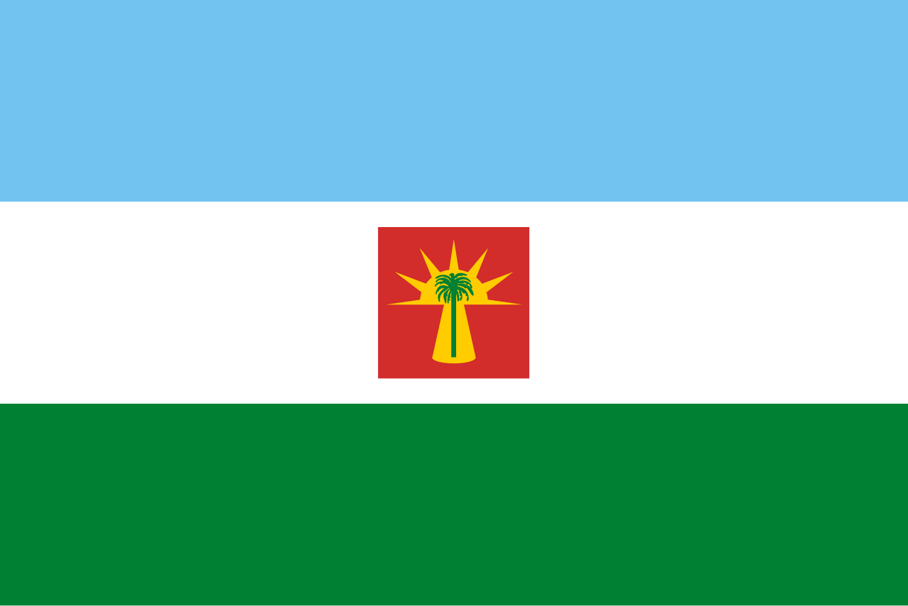 Bandera Oficial de Barinas