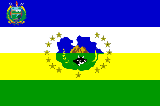 Bandera Mcpio. Ortíz