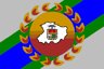 Bandera Mcpio. Torres