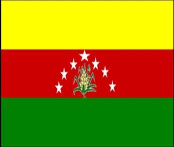 Bandera Mcpio. Piar